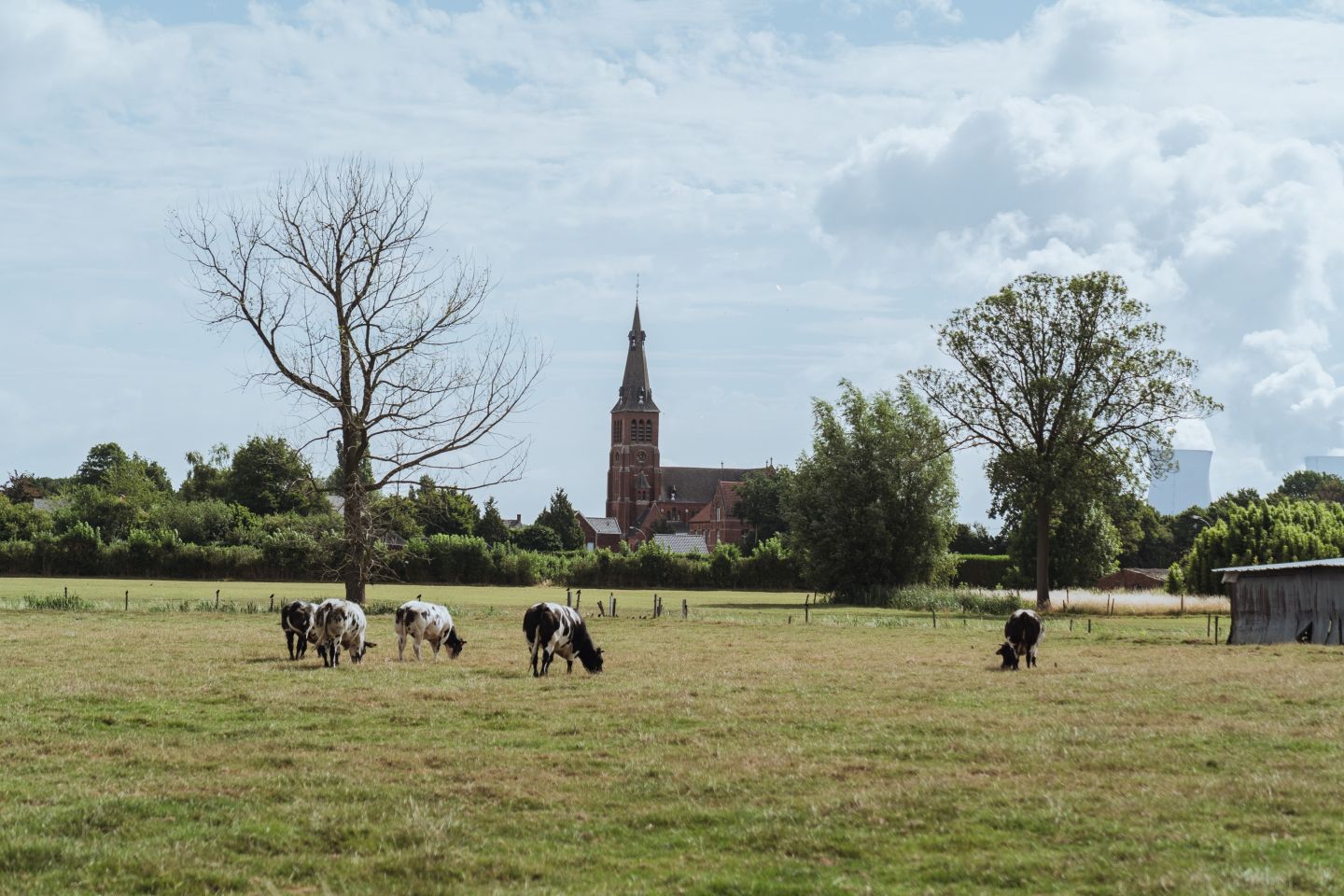 Toolbox plattelandsprojecten
