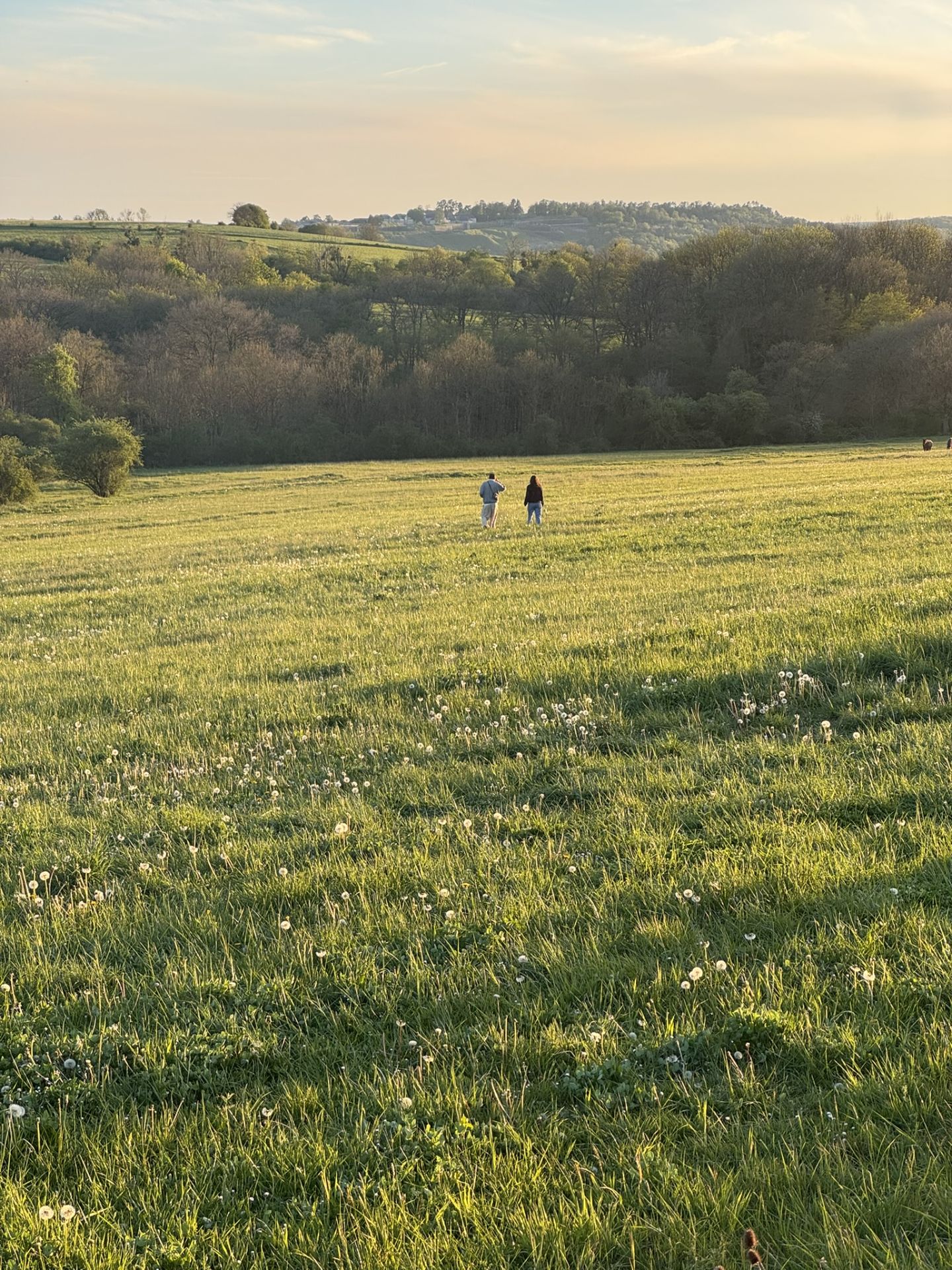 We beschermen de draagkracht van het landschap en de natuur.